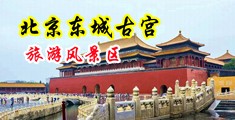 少妇的bb中国北京-东城古宫旅游风景区